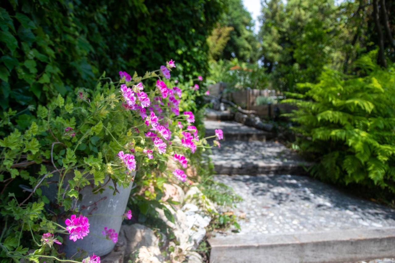 Le Mazet De Tourrettes Bed & Breakfast Exterior foto