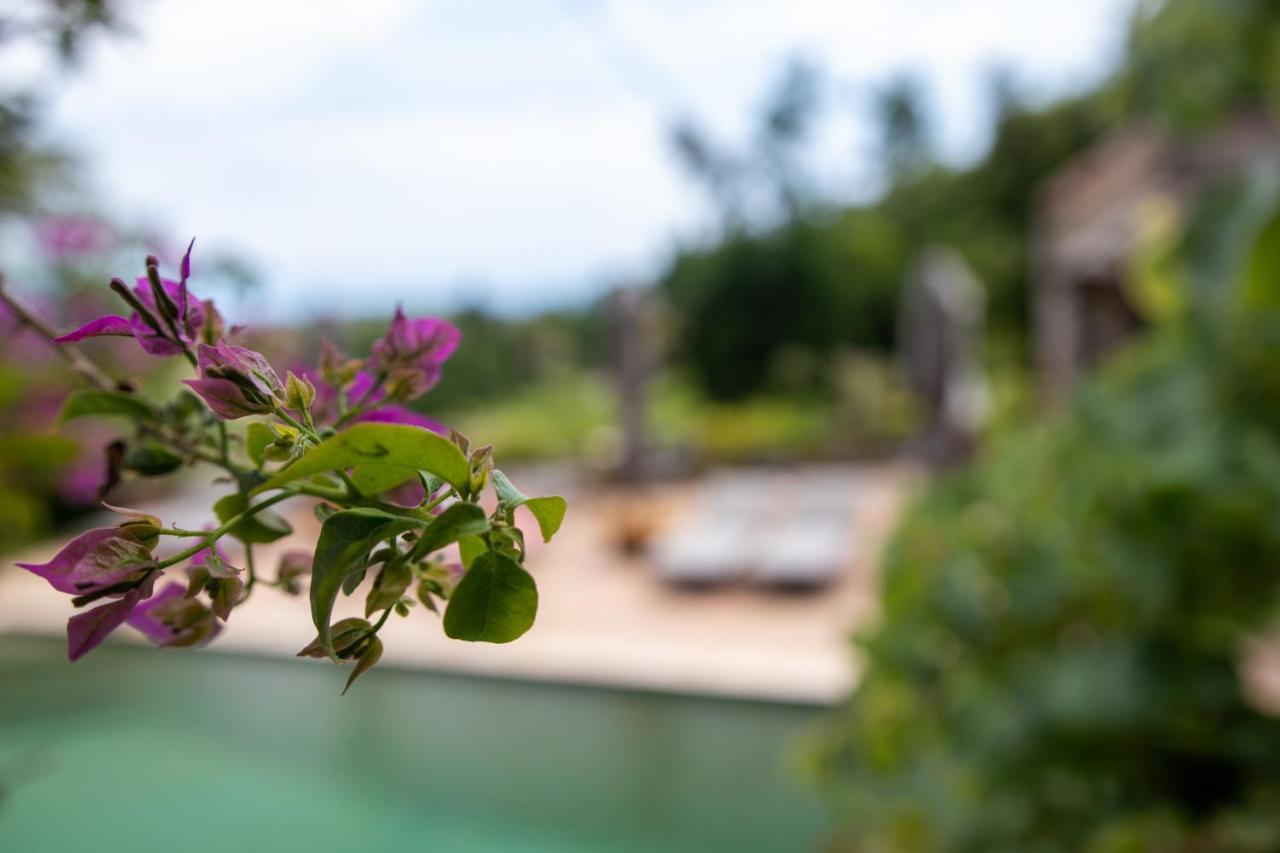 Le Mazet De Tourrettes Bed & Breakfast Exterior foto